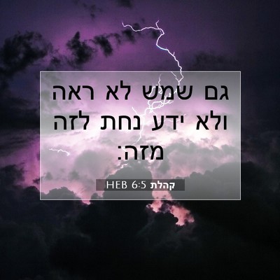 Picture 07 - קהלת 6:5 HEB - גם שמש לא ראה ולא ידע נחת - Bible Verse Picture