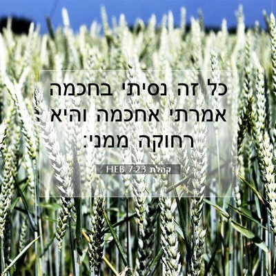 Picture 07 - קהלת 7:23 HEB - כל זה נסיתי בחכמה אמרתי - Bible Verse Picture