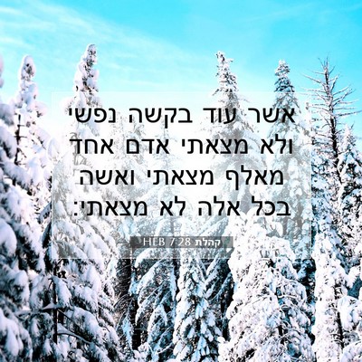 Picture 07 - קהלת 7:28 HEB - אשר עוד בקשה נפשי ולא מצאתי - Bible Verse Picture