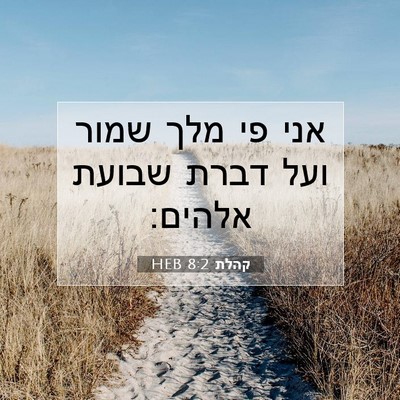 Picture 07 - קהלת 8:2 HEB - אני פי מלך שמור ועל דברת - Bible Verse Picture