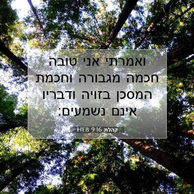 Picture 07 - קהלת 9:16 HEB - ואמרתי אני טובה חכמה - Bible Verse Picture