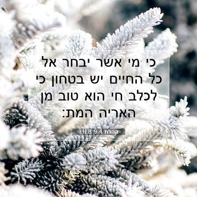 Picture 07 - קהלת 9:4 HEB - כי מי אשר יבחר אל כל החיים - Bible Verse Picture