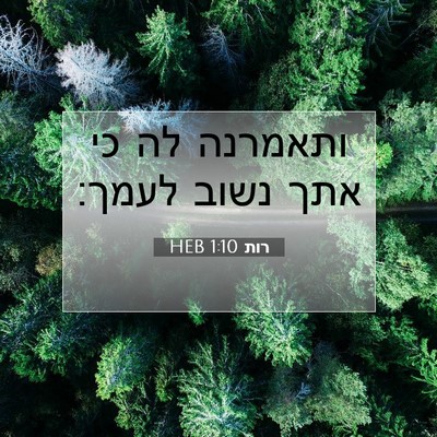 Picture 07 - רות 1:10 HEB - ותאמרנה לה כי אתך נשוב - Bible Verse Picture
