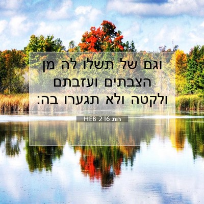 Picture 07 - רות 2:16 HEB - וגם של תשלו לה מן הצבתים - Bible Verse Picture