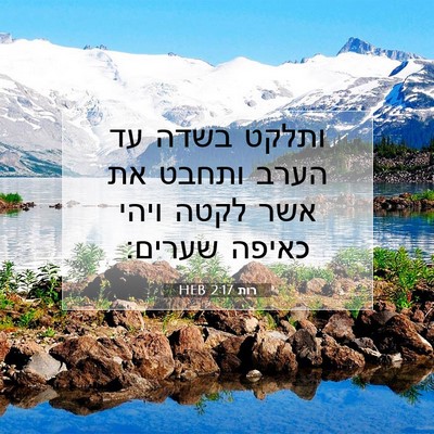 Picture 07 - רות 2:17 HEB - ותלקט בשדה עד הערב ותחבט את - Bible Verse Picture