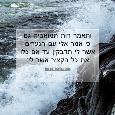 Picture 07 - רות 2:21 HEB - ותאמר רות המואביה גם כי אמר - Bible Verse Picture