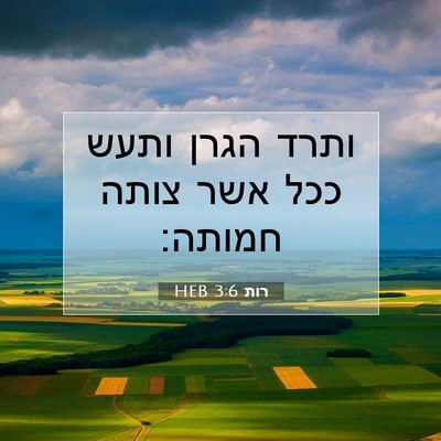 Picture 07 - רות 3:6 HEB - ותרד הגרן ותעש ככל אשר צותה - Bible Verse Picture
