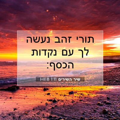 Picture 07 - שיר השירים 1:11 HEB - תורי זהב נעשה לך עם נקדות - Bible Verse Picture