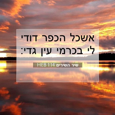 Picture 07 - שיר השירים 1:14 HEB - אשכל הכפר דודי לי בכרמי עין - Bible Verse Picture