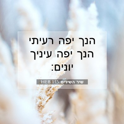 Picture 07 - שיר השירים 1:15 HEB - הנך יפה רעיתי הנך יפה עיניך - Bible Verse Picture
