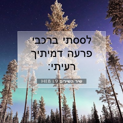 Picture 07 - שיר השירים 1:9 HEB - לססתי ברכבי פרעה דמיתיך - Bible Verse Picture