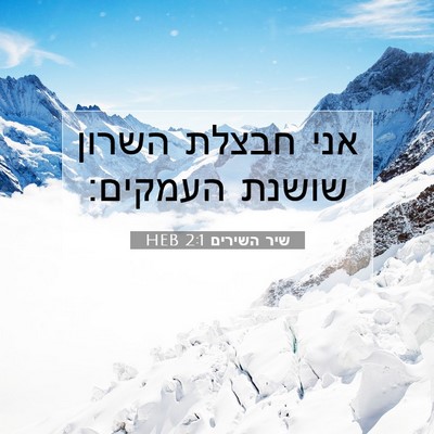 Picture 07 - שיר השירים 2:1 HEB - אני חבצלת השרון שושנת - Bible Verse Picture