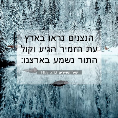 Picture 07 - שיר השירים 2:12 HEB - הנצנים נראו בארץ עת הזמיר - Bible Verse Picture