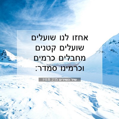 Picture 07 - שיר השירים 2:15 HEB - אחזו לנו שועלים שועלים - Bible Verse Picture