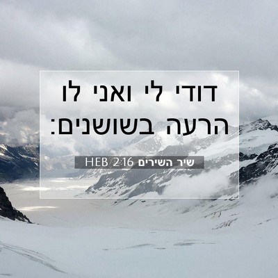 Picture 07 - שיר השירים 2:16 HEB - דודי לי ואני לו הרעה - Bible Verse Picture