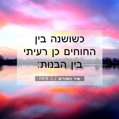 Picture 07 - שיר השירים 2:2 HEB - כשושנה בין החוחים כן רעיתי - Bible Verse Picture