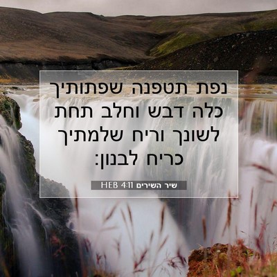 Picture 07 - שיר השירים 4:11 HEB - נפת תטפנה שפתותיך כלה דבש - Bible Verse Picture