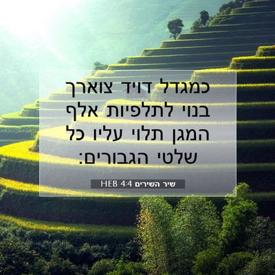 Picture 07 - שיר השירים 4:4 HEB - כמגדל דויד צוארך בנוי - Bible Verse Picture