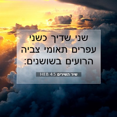 Picture 07 - שיר השירים 4:5 HEB - שני שדיך כשני עפרים תאומי - Bible Verse Picture