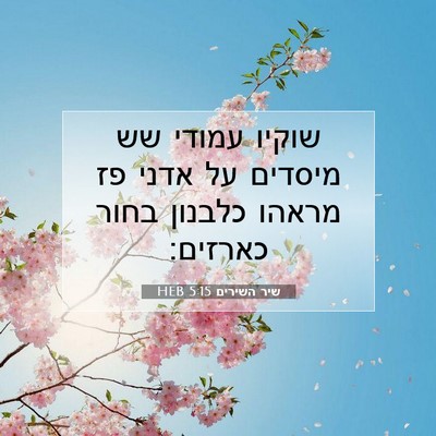 Picture 07 - שיר השירים 5:15 HEB - שוקיו עמודי שש מיסדים על - Bible Verse Picture