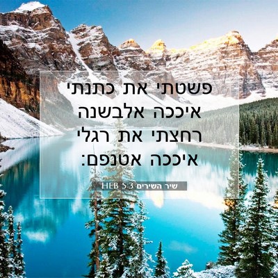 Picture 07 - שיר השירים 5:3 HEB - פשטתי את כתנתי איככה - Bible Verse Picture