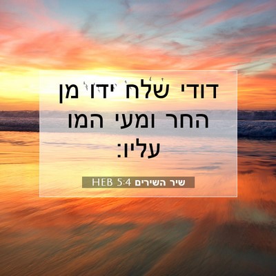 Picture 07 - שיר השירים 5:4 HEB - דודי שלח ידו מן החר ומעי - Bible Verse Picture