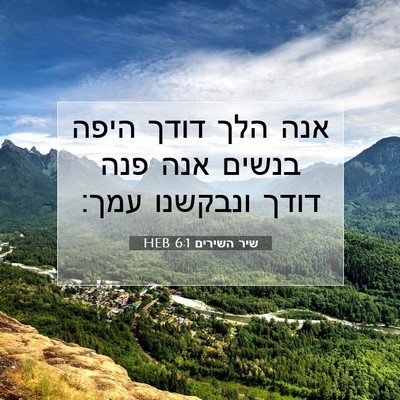 Picture 07 - שיר השירים 6:1 HEB - אנה הלך דודך היפה בנשים אנה - Bible Verse Picture