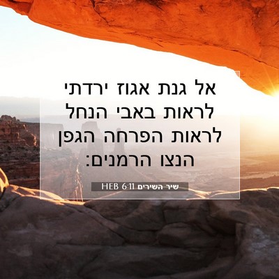 Picture 07 - שיר השירים 6:11 HEB - אל גנת אגוז ירדתי לראות - Bible Verse Picture