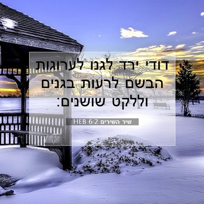 Picture 07 - שיר השירים 6:2 HEB - דודי ירד לגנו לערוגות הבשם - Bible Verse Picture