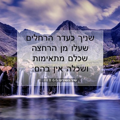 Picture 07 - שיר השירים 6:6 HEB - שניך כעדר הרחלים שעלו מן - Bible Verse Picture