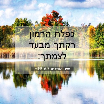 Picture 07 - שיר השירים 6:7 HEB - כפלח הרמון רקתך מבעד - Bible Verse Picture