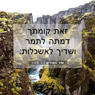 Picture 07 - שיר השירים 7:7 HEB - זאת קומתך דמתה לתמר ושדיך - Bible Verse Picture
