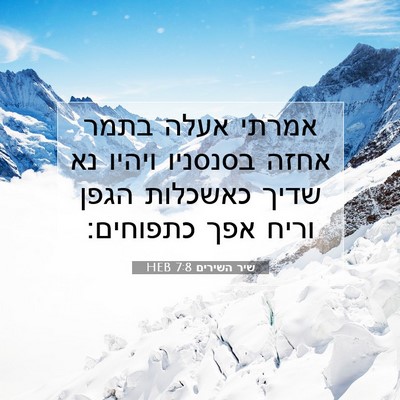 Picture 07 - שיר השירים 7:8 HEB - אמרתי אעלה בתמר אחזה - Bible Verse Picture