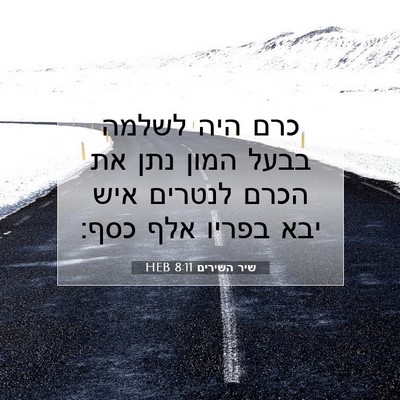 Picture 07 - שיר השירים 8:11 HEB - כרם היה לשלמה בבעל המון נתן - Bible Verse Picture