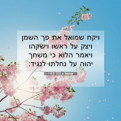 Picture 07 - שמואל א 10:1 HEB - ויקח שמואל את פך השמן ויצק - Bible Verse Picture