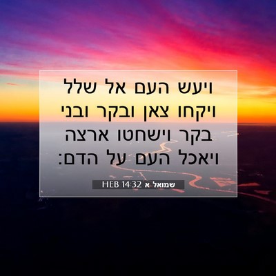 Picture 07 - שמואל א 14:32 HEB - ויעש העם אל שלל ויקחו צאן - Bible Verse Picture