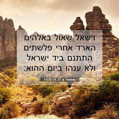 Picture 07 - שמואל א 14:37 HEB - וישאל שאול באלהים הארד - Bible Verse Picture