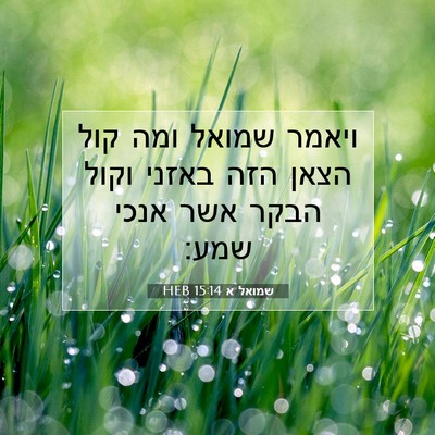 Picture 07 - שמואל א 15:14 HEB - ויאמר שמואל ומה קול הצאן - Bible Verse Picture