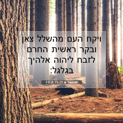 Picture 07 - שמואל א 15:21 HEB - ויקח העם מהשלל צאן ובקר - Bible Verse Picture
