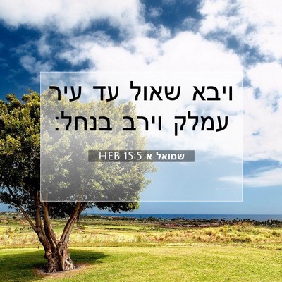 Picture 07 - שמואל א 15:5 HEB - ויבא שאול עד עיר עמלק וירב - Bible Verse Picture