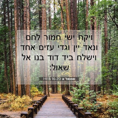 Picture 07 - שמואל א 16:20 HEB - ויקח ישי חמור לחם ונאד יין - Bible Verse Picture