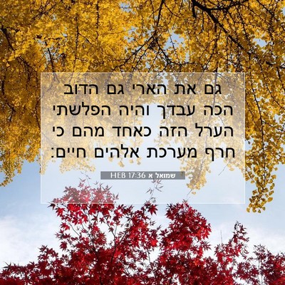 Picture 07 - שמואל א 17:36 HEB - גם את הארי גם הדוב הכה עבדך - Bible Verse Picture