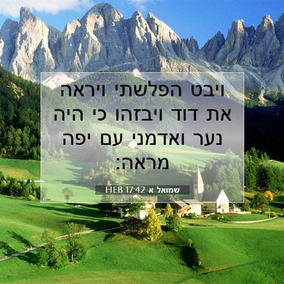Picture 07 - שמואל א 17:42 HEB - ויבט הפלשתי ויראה את דוד - Bible Verse Picture