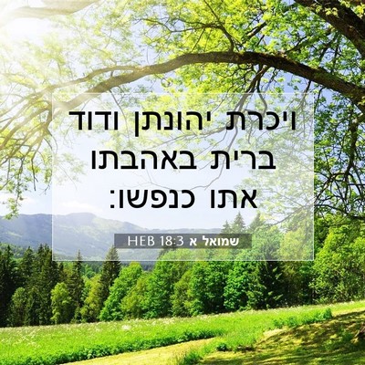 Picture 07 - שמואל א 18:3 HEB - ויכרת יהונתן ודוד ברית - Bible Verse Picture