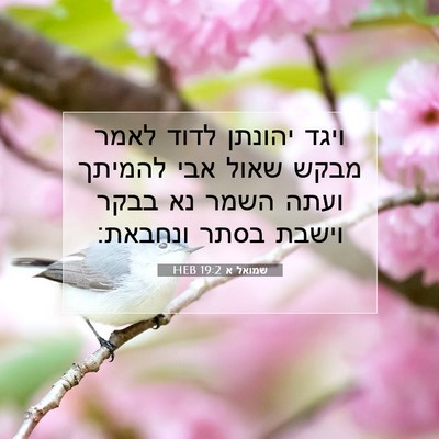 Picture 07 - שמואל א 19:2 HEB - ויגד יהונתן לדוד לאמר מבקש - Bible Verse Picture