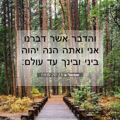 Picture 07 - שמואל א 20:23 HEB - והדבר אשר דברנו אני ואתה - Bible Verse Picture