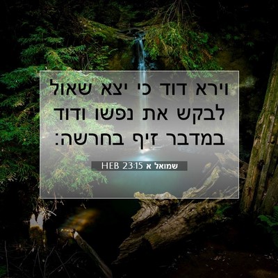Picture 07 - שמואל א 23:15 HEB - וירא דוד כי יצא שאול לבקש - Bible Verse Picture