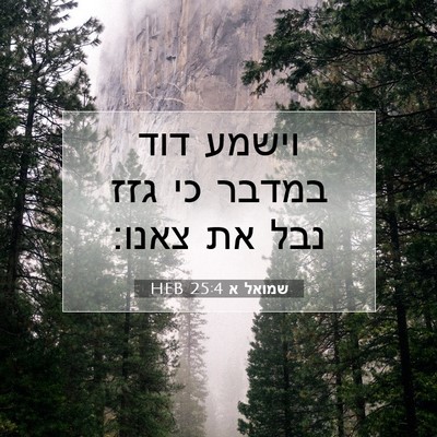 Picture 07 - שמואל א 25:4 HEB - וישמע דוד במדבר כי גזז נבל - Bible Verse Picture