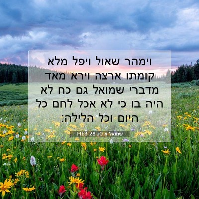 Picture 07 - שמואל א 28:20 HEB - וימהר שאול ויפל מלא קומתו - Bible Verse Picture
