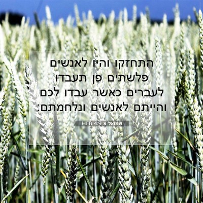 Picture 07 - שמואל א 4:9 HEB - התחזקו והיו לאנשים פלשתים - Bible Verse Picture